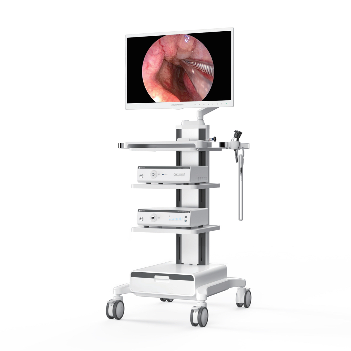 Sistema di endoscopia 4K UHD