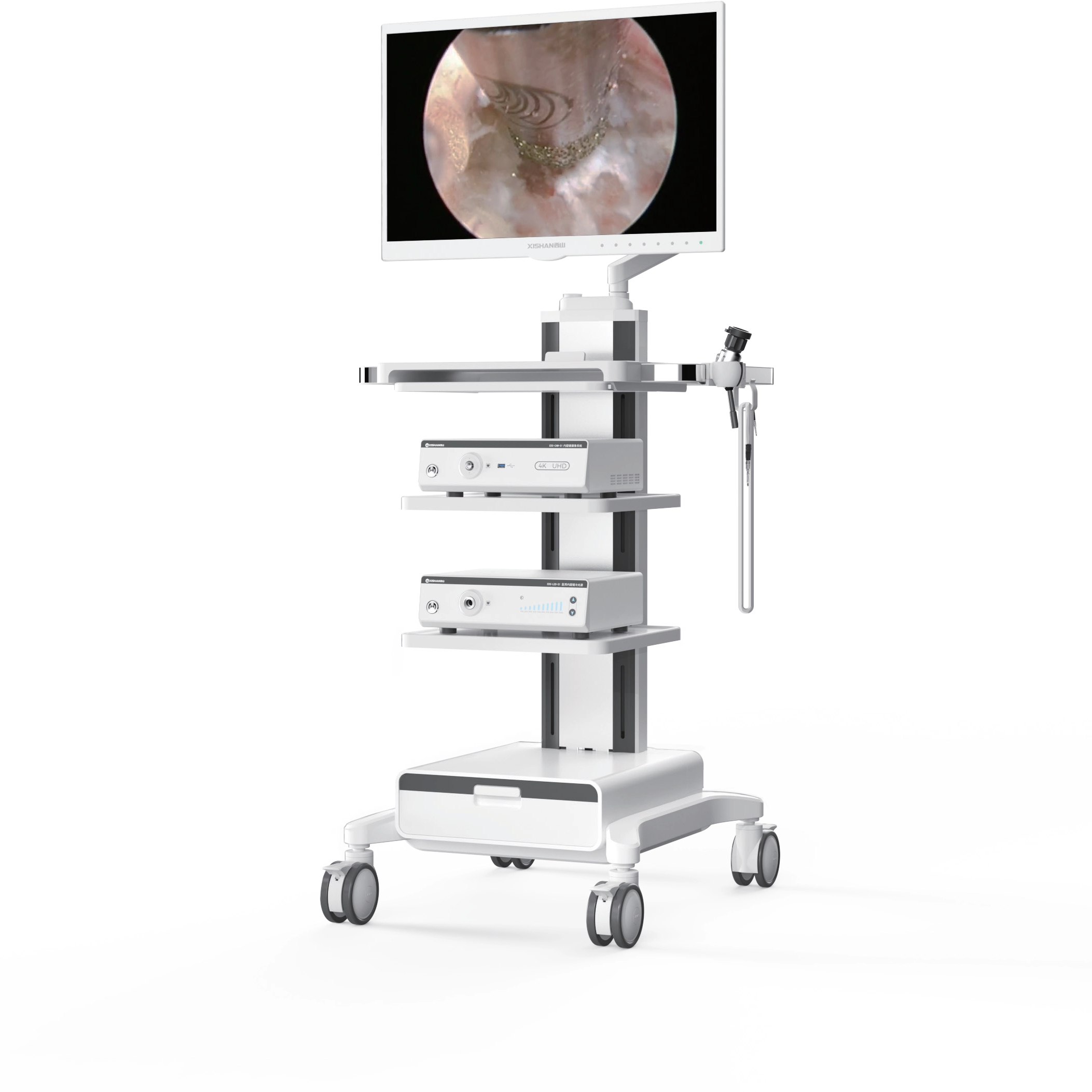 Sistema di endoscopia 4K UHD