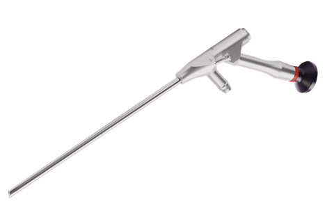 Endoscopio transforaminale
