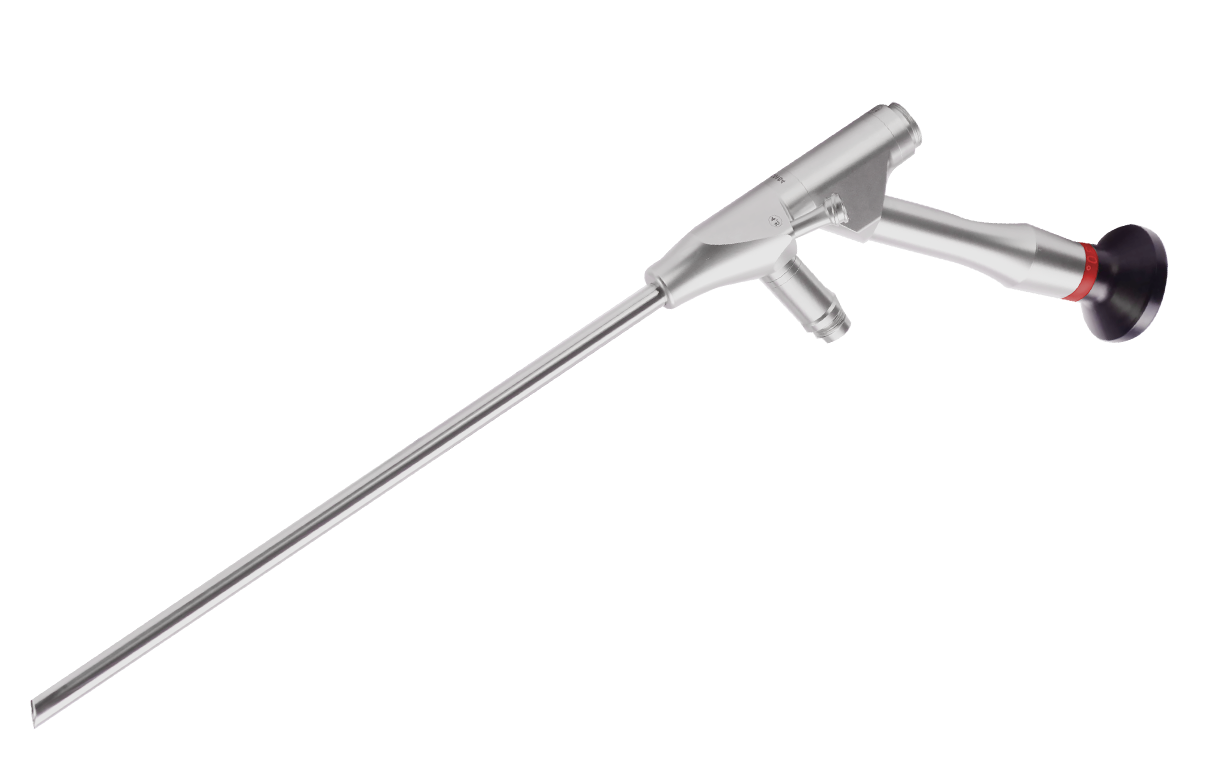 Endoscopio transforaminale
