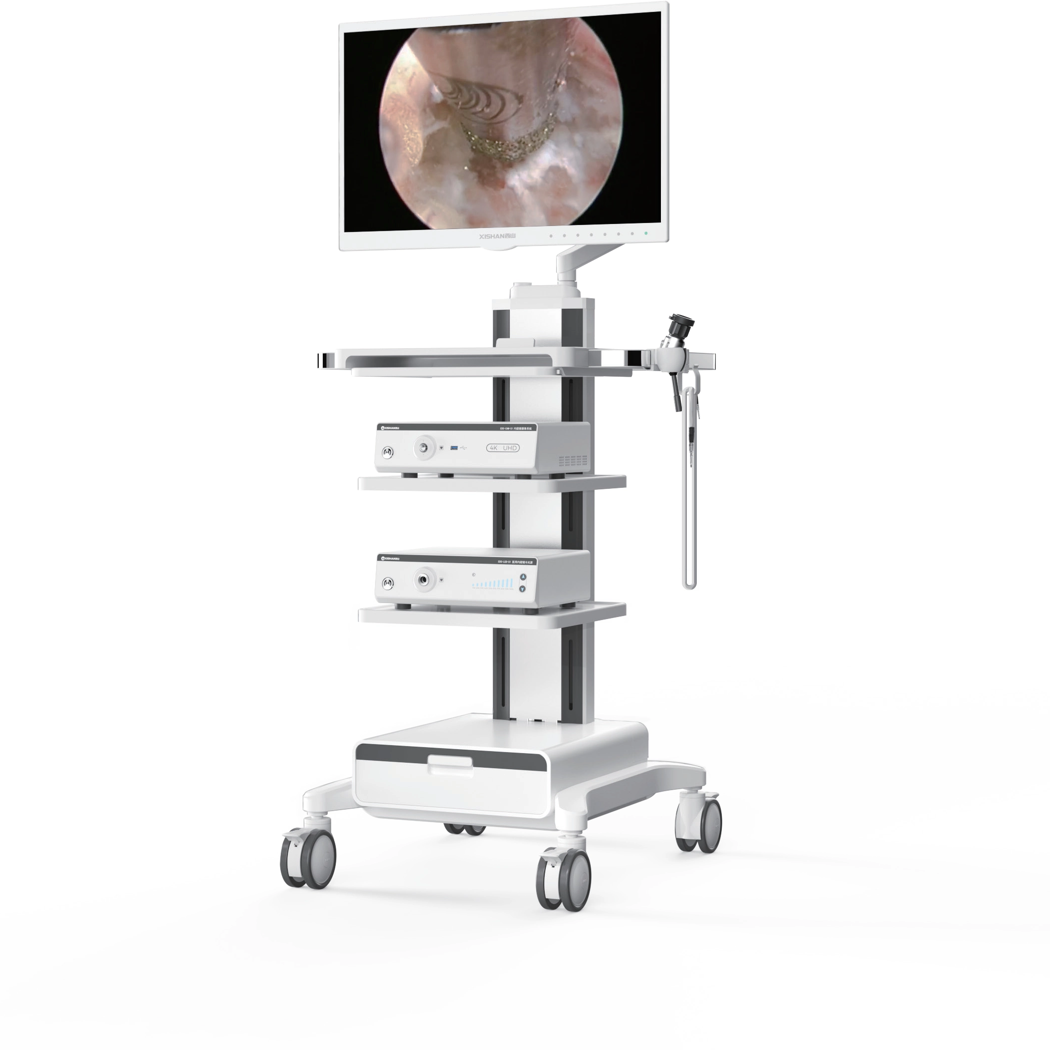 Sistema di endoscopia 4K UHD