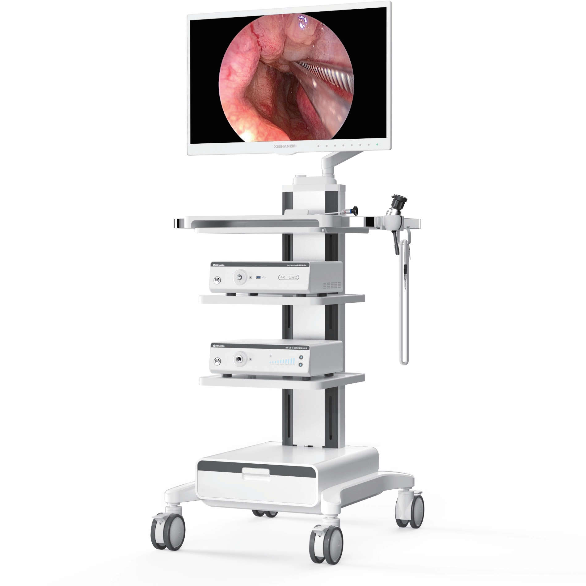 Sistema di endoscopia 4K UHD